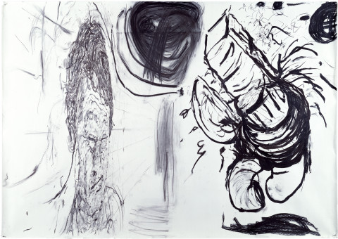 Mike Parr Clocal Corridor (O Vio Prote/ O Vio Proto/ O Vio Loto/ O The 'the') Self Portrait as a Pair or Self Portrait as a Pun, 1983; charcoal and graphite on photographic backdrop; 183 x 1097 cm; enquire