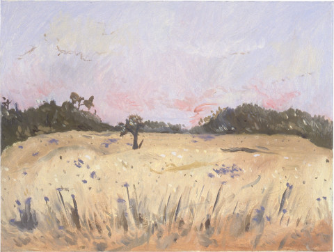 Linda Marrinon Country View with Patterson's Curse, 1996; Oil on canvas; 40 x 30 cm; enquire
