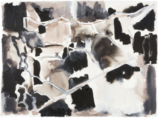Fiona Hall Cage (Syria map 8), 2017; Cat no. 48; gouache and tapa dye on rag paper; 57 x 76 cm; enquire
