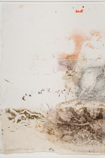 John Wolseley Burrowing Bettongs  - Newhaven Wildlife Sanctuary (detail), 2025-26; graphite, etching and woodblock prints on paper; 72 x 83 cm; 93 x 106 cm (framed); enquire