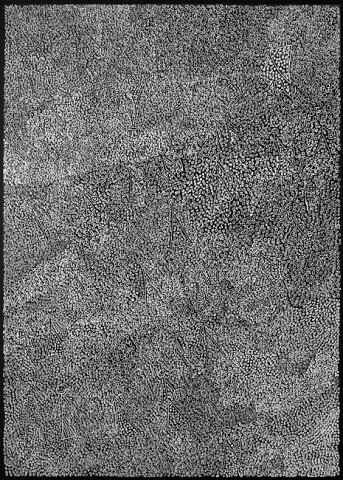 Nyapanyapa Yunupiŋu 51. Birrka'mirri 21, 2011; 1269-16 (Ac. 3.22); paint pen on clear acetate plastic; 83.5 x 59.5 cm; enquire