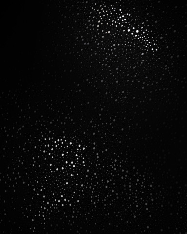 EXHIBITION OPENING: Daniel Boyd