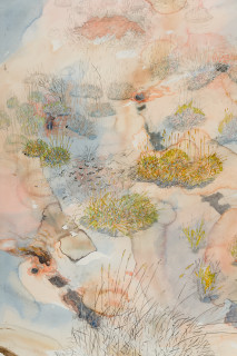 John Wolseley Great desert skink commune – basking mound, birthing pool and defecatorium (detail), 2025; watercolour and graphite on paper; 118 x 154 cm; 134 x 169 cm (framed); enquire