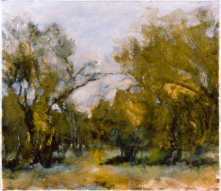 Mandy Martin Back of the House, 1997; oil, ochre, pigment on linen; 30 x 35 cm; enquire