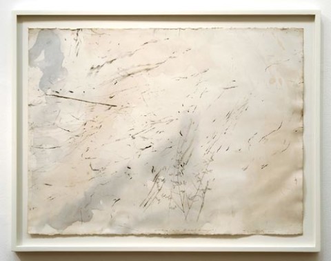 John Wolseley Dusky Grasswen/Desert Oak, 2005; watercolour, graphite, carbonised wood on paper; 66 x 85.5 cm; (frame size); enquire