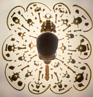 Julie Rrap Bone Mandala, 1999; cibachrome photograph; 120 x 120 cm; Edition of 9; enquire