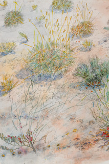 John Wolseley Tracks at Watikinpirri - mulgaras and honeyeaters pollinate the upside-down plants (detail), 2025; watercolour and graphite on paper; 64 x 101 cm; 94 x 125 cm (framed); enquire