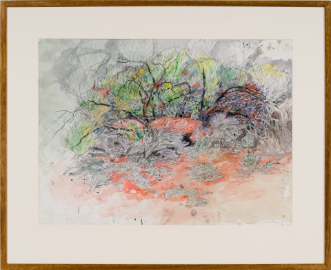 John Wolseley Ngurra - Dwelling; Great Desert Skink - Watikinpirri, 2024; watercolour and graphite on paper; 55 x 74 cm; 80 x 98 cm (framed); enquire