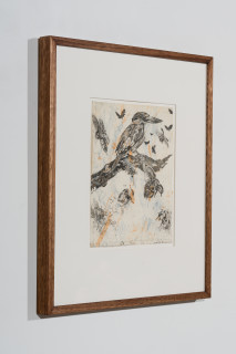 John Wolseley Forest Kingfisher with Symbiotic Moths and Beetles, 2025; etching; 35 x 28 cm; 65 x 57 cm (framed); Edition of 20; enquire