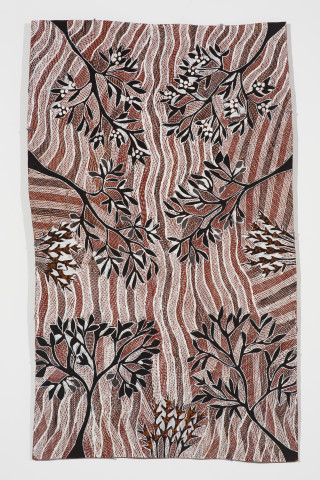 Yalmakany Marawili Ḻuŋiny and Burukpili, 2023; 5439-23; earth pigments on Stringybark; 124 x 75 cm; more info; enquire