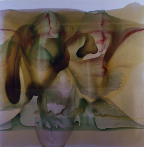 Dale Frank Passing Beerwah, 2003; varnish on acrylic on canvas; 200 x 200 cm; enquire