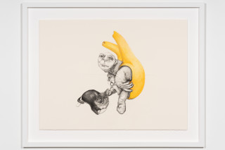 Patricia Piccinini The Moment When They Respond With Intention, 2023; graphite and coloured pencil on paper; 56 x 76 cm; enquire