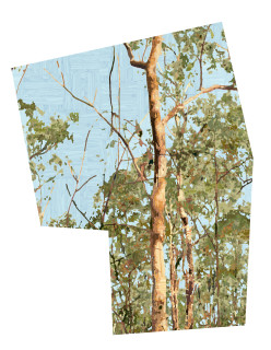 Gary Carsley D.121 Golden Summer 1, 2012-20; Satin UV retardant laminate over unique state Lambda Type “C” print adhered to 3 mm Dibond Polyhedra, 6 mm MDF Split battens; 115.6 x 89.45 cm; more info; enquire