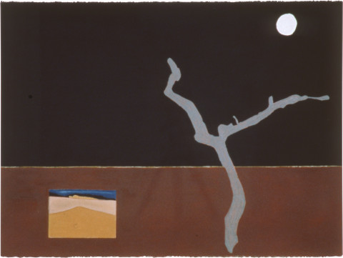 Fiona Foley Driftwood at Booral, 1990; pastel, ink and oil crayon on paper; 57 x 76.5 cm; enquire