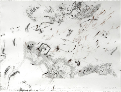 John Wolseley The sand palm burns and draws the sea, 2009; monoprint (carbon frottage with etching); 56 x 76 cm; enquire