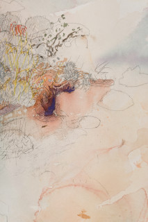 John Wolseley Burrowing bettong warren with one lone bilby burrow (detail), 2025; watercolour and graphite on paper; 77 x 100 cm; 102 x 125 cm (framed); enquire