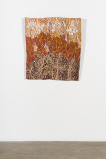 installation view; Yalmakany Marawili Miyalk Collecting Bush Ŋatha, 2026; 2316-26; earth pigments on stringybark; 85 x 97 cm; enquire