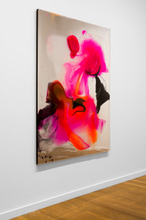 installation view; Dale Frank He was not lonely at all, daily surviving on prescribed marijana gummies, muscle supplements, and spending more hours than he should at the Community Pool Gym mens change room, 2026; colour powder pigments in Epoxyglass, Epoxyglass, on perspex; 200 x 150 cm; enquire