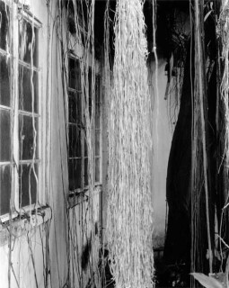 Simryn Gill #7, 1996-98; Silver gelatin photograph; 120 x 95 cm; Set of 16 images, edition of 15; Edition of 15; enquire