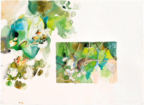 John Wolseley Lichmera indistincta - Baniyala, 2009; watercolour on paper; 56 x 76 cm; enquire