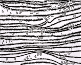 Yayoi Kusama Lips Floating in the Waves [TOWHC], 0; silkscreen on canvas; 130.3 x 162 cm; Edition of 5; enquire