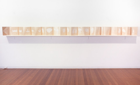 Fiona Hall Comparative Anatomy, 1998; gouache on pianola roll; 29 x 29 cm; per page, variable dimensions; enquire