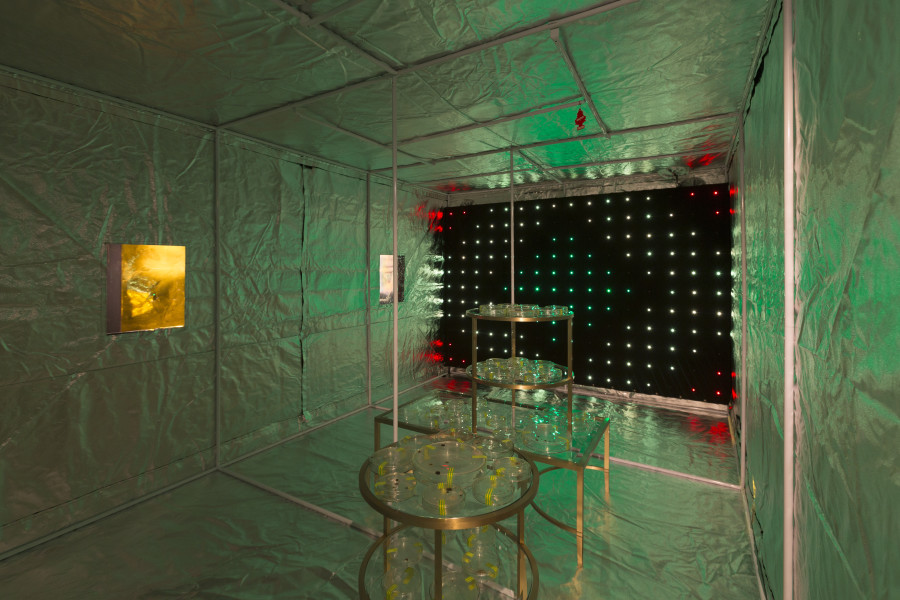 Dale Frank Ghost Story, 2018 (detail); Mylar fabric, powder coated steel, LED lighting to program, containing petri dishes, Artist’s personal bacteria in agar in petri dishes on brass and glass coffee table plinths; 230 × 300 × 450cm