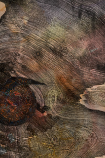 John Wolseley Great desert skinks on their basking mound in the Great
Sandy desert I (detail), 2026; watercolour and woodblock print on paper; 104 x 180 cm; 121 x 195 cm (framed); enquire