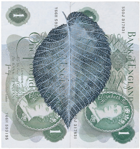 Fiona Hall Leaf Litter, 2000-02; gouache on banknotes; dimensions variable; enquire
