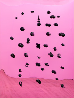 Dale Frank View over Nouakchott, 2019; silicon (butt plugs), epoxyglass on Perspex; 200 x 150 cm; enquire