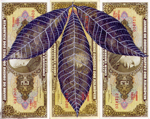 Fiona Hall Leaf Litter, 2000-02; gouache on banknotes; dimensions variable; enquire