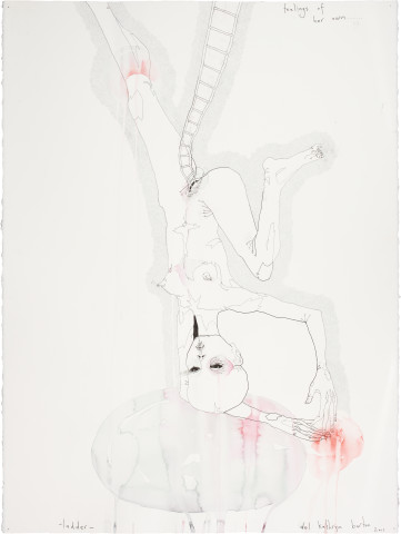 Del Kathryn Barton ladder, 2011; water colour, gouache and ink on hot pressed paper
; 82 x 62 cm; enquire