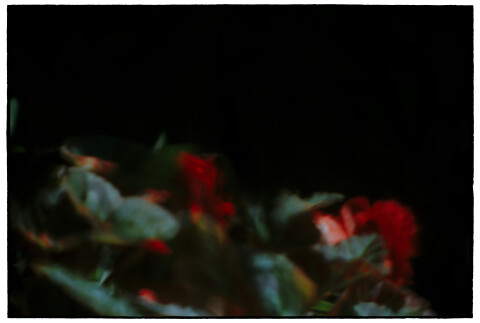Bill Henson Untitled #3, 2011-12; CL SH710 N1C; archival inkjet pigment print; 127 x 180 cm; Edition of 5 + AP 2; Enquire