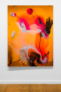 Dale Frank He was not lonely at all, he just wished his dick was twice the size it was, 2026; colour powder pigments in Epoxyglass, Epoxyglass, on perspex; 200 x 150 cm; enquire