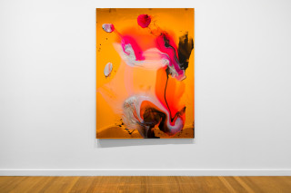 installation view; Dale Frank He was not lonely at all, he just wished his dick was twice the size it was, 2026; colour powder pigments in Epoxyglass, Epoxyglass, on perspex; 200 x 150 cm; enquire