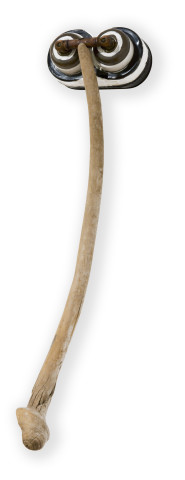 Fiona Hall Untitled, 2014; light switch, driftwood; 62 x 15.5 x 27.5 cm; enquire