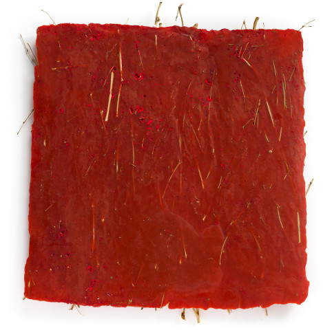 Kirtika Kain heart, 2019; birch broom twigs, sindoor powder, wax; 50 x 50 cm; enquire