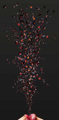 Julie Rrap Remaking the World #2, 2015; Pigment print on paper on aluminium; 300 x 150 cm; Edition of 3 + AP 1; enquire