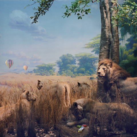 Anne Zahalka Game Park, 2007; Ilfaflex Type C print; 80 x 80 cm; Edition of 10 + AP 2; enquire