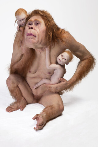Patricia Piccinini Kindred, 2018; silicone, fibreglass, hair; 103 x 95 x 128 cm; Edition of 3 + AP 1; Enquire
