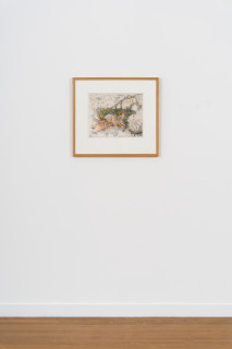 installation view; John Wolseley The Bilby Returns - Great Sandy Desert, 2024; etching with watercolour and woodcut chine-colle; 32 x 40 cm; 59 x 64 cm (framed); Edition of 30; enquire
