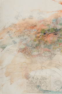 John Wolseley Great desert skink colony with map of basking mound, birthing pool and defecatorium (detail), 2025; watercolour, graphite, charcoal and ink on paper; 117 x 153 cm; 135 x 169 cm (framed); enquire