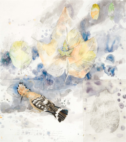 John Wolseley Monsoon Hoopoe - Taman Negara, 2000-06; watercolour, graphite on paper; 92 x 83.5 cm; (frame size); enquire