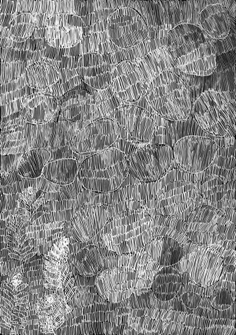Nyapanyapa Yunupiŋu 33. Birrka'mirri 4, 2011; 4303D; paint pen on clear acetate plastic; 83.5 x 59.5 cm; enquire