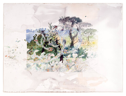 John Wolseley Bird wave - Montane Rainforest, 2009; watercolour and graphite on paper; 57 x 76 cm; enquire