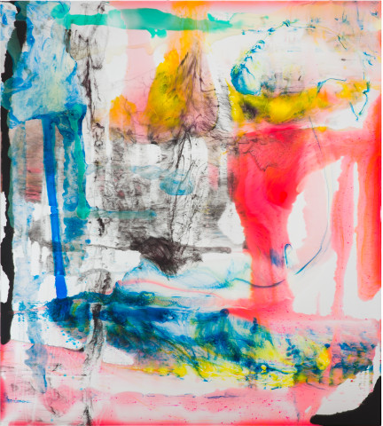 Dale Frank He embraced chaos like there was no tomorrow owned it made it his bitch but it turned out it was just his tumour talking, 2020; powder pigments in resin, epoxyglass, on Perspex; 200 x 180 cm; Enquire