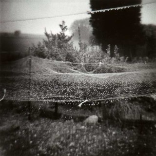 Fiona Hall Pett Level, England, 1978; gelatine silver photograph; 28 x 28 cm; enquire