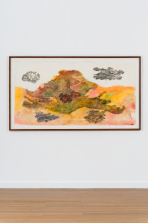 installation view; John Wolseley Great desert skinks on their basking mound in the Great
Sandy desert II, 2026; watercolour and woodblock print on paper; 98 x 187 cm; 113 x 202 cm (framed); enquire