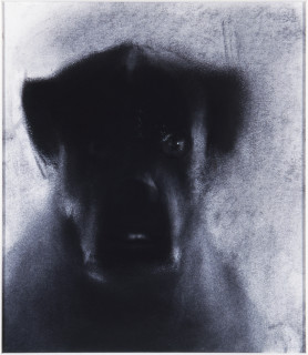 Louise Hearman Untitled #  963, 2003; pastel on paper; 25 x 23 cm; enquire