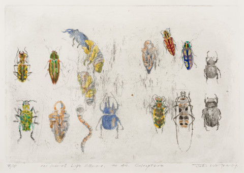 John Wolseley 101 Insect Life Stories No 40. Coleoptera, 2017; etching with watercolour; 30 x 40.5 cm; Edition of 15; Enquire